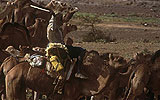 Mauritania. Fotos de Juan Echeverr�a.
