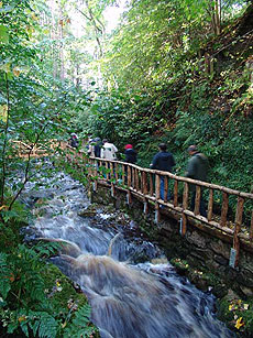 El jard�n de los Grant, en Rothes.