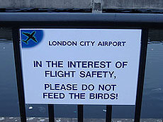 Cartel del aeropuerto capitalino.