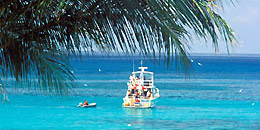 Lizard Island