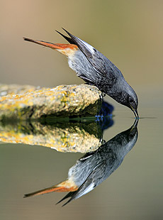 Una de las fotos de José B. Ruiz.