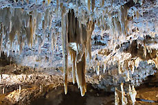 Cuevas de El Soplao