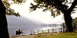Lake District. Reino Unido. Por Javier Mazorra. Fotos Britain on View