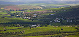 Ruta del vino Montilla-Moriles.