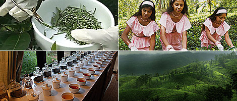 Sri Lanka