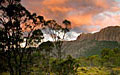 Tasmania. NATHALIE JEROME/COVER