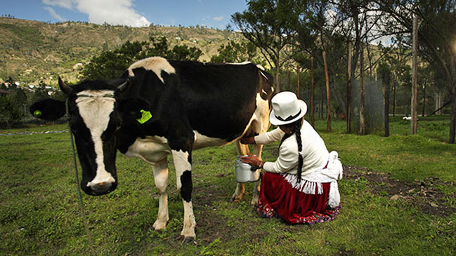 La granja de la hacienda pone a disposición de los huéspedes todo tipo de actividades.